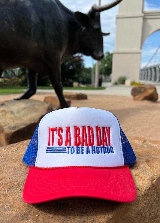 IT'S A BAD DAY TO BE A HOTDOG Foam Hat